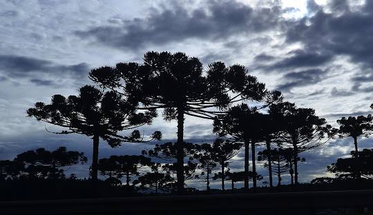 Escritório de arquitetura em Araucária, PR